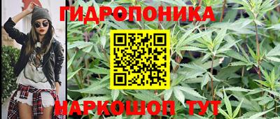 спайс Дубна
