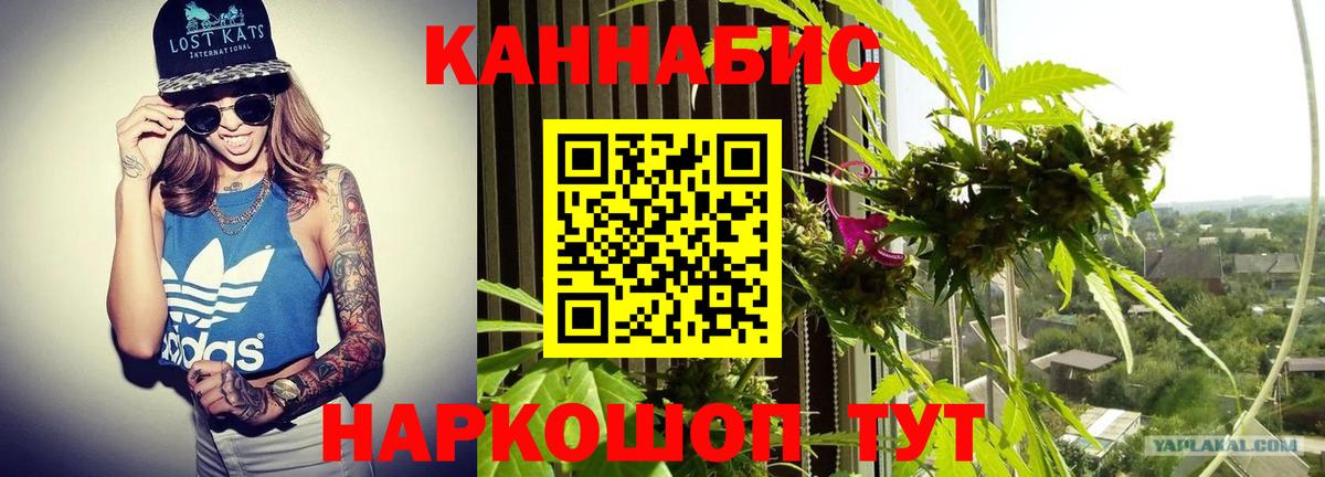 Конопля ГИДРОПОН  Вход с VPN  Борисоглебск  Марихуана тримм  Бошки Шишки тримм  Канабис марихуана 